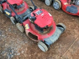 TROYBILT 21