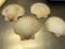 (4) LARGE SCALLOP SEA SHELLS