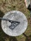 SUNDIAL