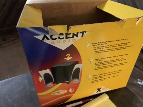 ACCENT AUDIO FLAT PANEL SPEAKER WITH SUBWOOFER