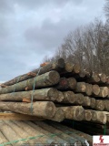 4X7 PRESSURE TREATED POSTS-APPROX 36 IN BUNDLE