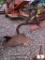 1BOTTOM TURNPLOW
