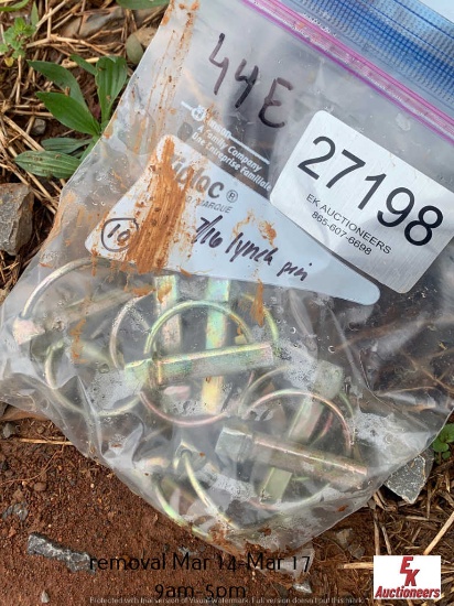 (10) 7/8" LATCH PINS
