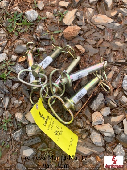 (5) 7/8" HITCH PINS