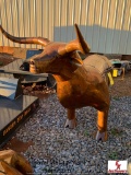 BULL SMOKER