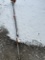 STIHL HT130 POLE SAW
