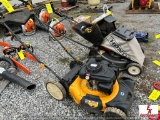 CUB CADET & HONDA PUSH MOWER