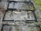 WILDCAT BACK PLATE