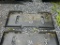 WILDCAT BACK PLATE