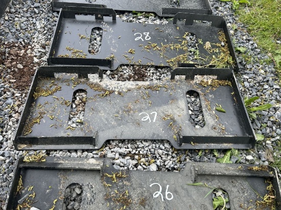 WILDCAT BACK PLATE