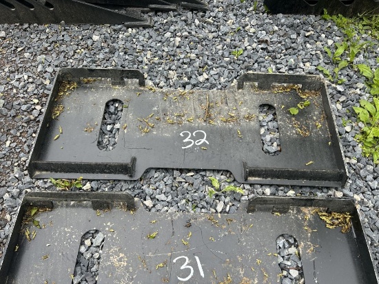 WILDCAT BACK PLATE