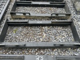 WILDCAT HEAVY DUTY BACK PLATE