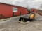 2022 SHANDONG LOONGSHEEN HEAVY INDUSTRY CO LTD LS300G SKID STEER LOADER