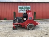 2019 TORO 30