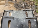 WILDCAT BACK PLATE