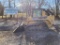 2007 DEERE CT322 SKID STEER LOADER