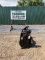 2021 LAND PRIDE ROOT GRAPPLE
