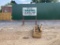 EAGLELINE 5' BOX BLADE