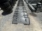 WILDCAT BACK PLATE