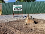 2021 BOBCAT 4IN1 BUCKET