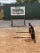 BOBCAT 48