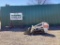 2015 BOBCAT MT55 SKID STEER
