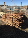 Lot of T-Posts and Olive Stakes