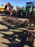 3-Pt Lilliston Rolling Cultivator