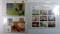 Walt Disney GOOFY Commemorative Stamps SET