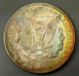 1921-p Morgan Dollar -TONED Rev