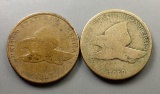 2x Flying Eagle Small Cents