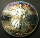1987 Silver Eagle -TONED