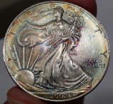 2002 Silver Eagle -TONED