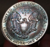 1987 Silver Eagle -TONED