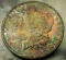 1891-S Morgan Silver Dollar -MONSTER TONED