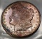 1878-S Morgan Silver Dollar -TONED