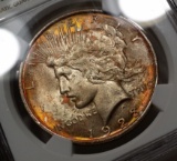 1923-P Peace Silver Dollar -MONSTER TONED