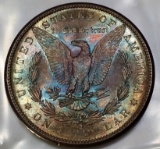 1881-S Morgan Silver Dollar -NEON TONED