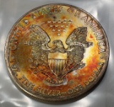 2013 Silver Eagle -TONED