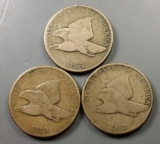 3x Flying Eagle Small Cents