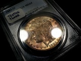 1883-O Morgan Silver Dollar -TEXTILE TONED
