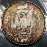 1882-P Morgan Dollar -TAPE TONED