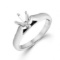 14KT White Gold 1/8 ct Solitaire Engagement Rings with Medium Shoulder Airline Comfort Feel Cathedra