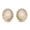 14K Yellow Gold Plated 2.01 Carat Genuine Ethiopian Opal and Tanzanite .925 Sterling Silver Earrings