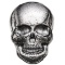 2 oz Silver Skull - Monarch Precious Metals (Human Skull)