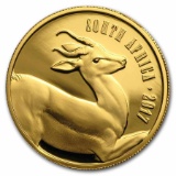 2017 South Africa 1/2 oz Gold Natura The Springbok