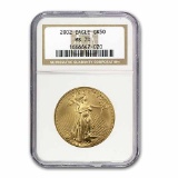 2002 1 oz Gold American Eagle MS-70 NGC (Registry Set)
