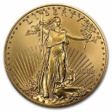 2006-W 1 oz Burnished Gold Eagle (Capsule Only)