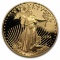 1 oz Proof Gold American Eagle (Random, Capsule Only)