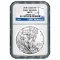 Certified Uncirculated Silver Eagle 2015 MS70 NGC Early Release